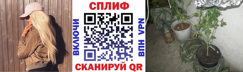 Купить закладку КОКАИН  МАРИХУАНА  МЕФ  ТГК  Бутират  ГАШИШ  Псилоцибиновые грибы  СК  Сим
