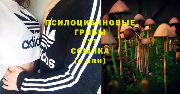бутират Вяземский